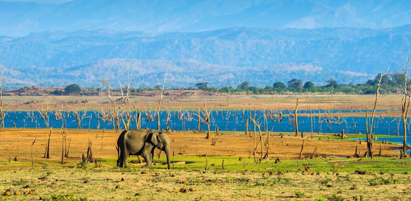 Udawalawe National Park